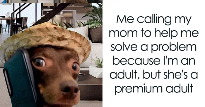 74 Hilariously Relatable Memes For Adults Who Still Don’t Know What They’re Doing