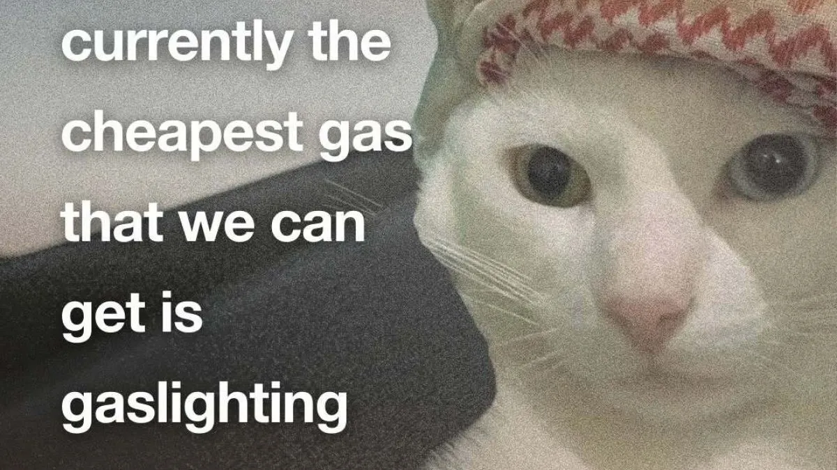 87 Cat Memes That Might Know You Better Than You’d Like