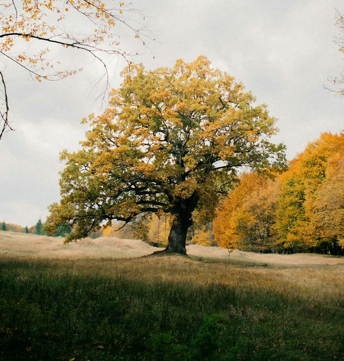 75 Heart-Melting Short Stories About Everything Positive And Good That We Have In Our Lives