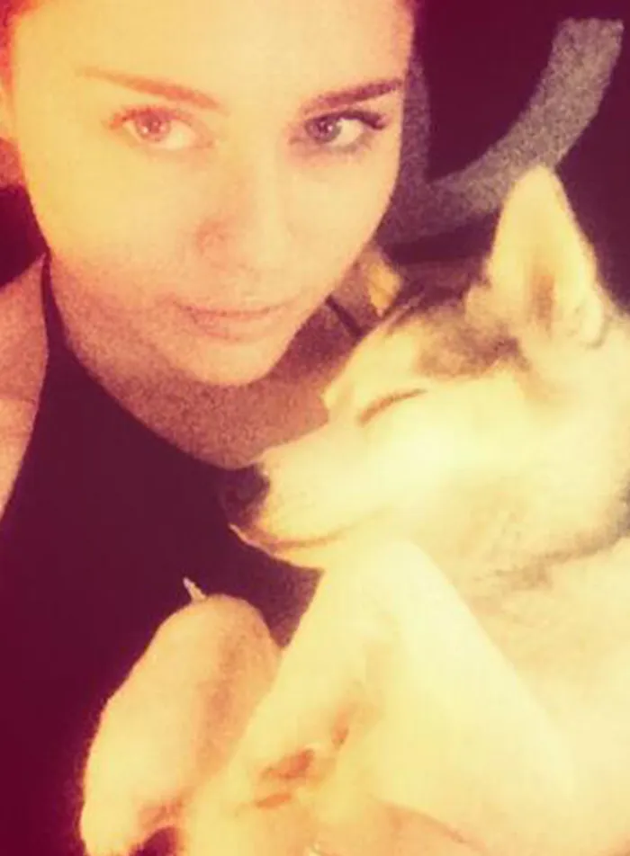 Cyrus’ Beloved Pets Became Two Of Her Most Painful Losses