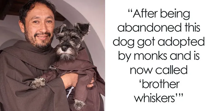 61 Wholesome Stories That Might Make You Shed A Tear Because They’re So Overwhelmingly Awesome