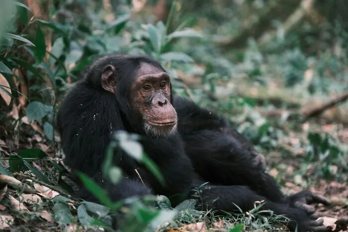 These 49 Animals Seem Cute But Zookeepers Say They Are A Total Nightmare