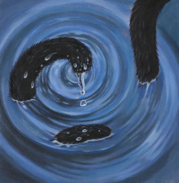 Swirling Tale