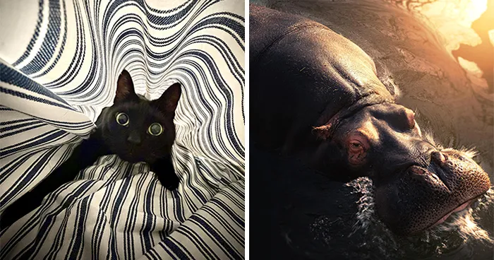 53 Times People Took Incredible Photos And Shared Them With The Rest Of The Internet