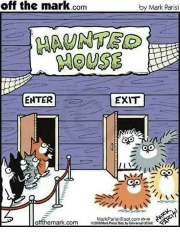Halloween cartoon features cats entering and exiting a haunted house