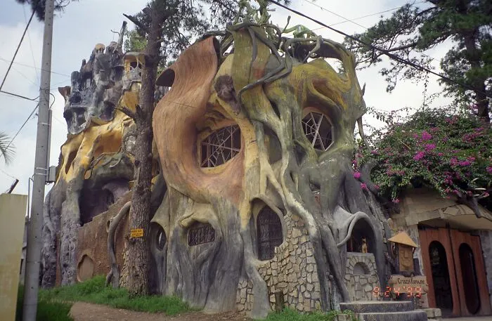 Unique building with an organic, tree-like structure and natural textures