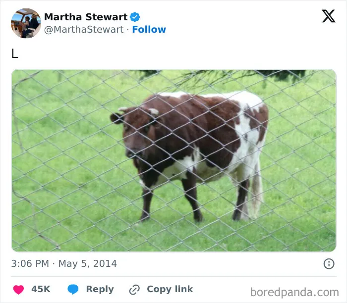 Martha Stewart tweet featuring a cow behind a fence with the letter L, a celebrity social media fail.