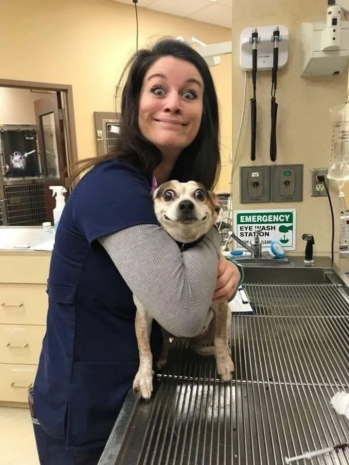 Funny dog making a wide-eyed smiling face while being held by a veterinary clinic worker