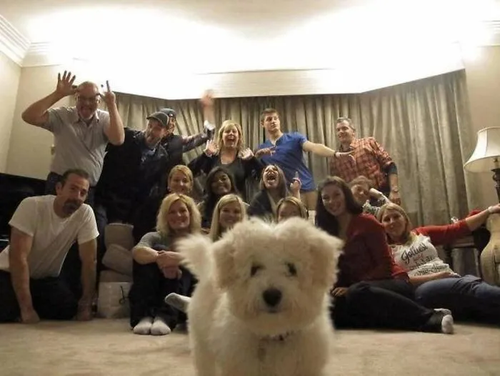 Funny animals: A fluffy white dog photobombing a group picture of a family.