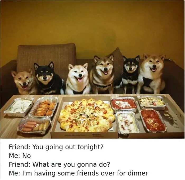Six Shiba Inu dogs sitting behind a pizza spread, representing relatable dog memes