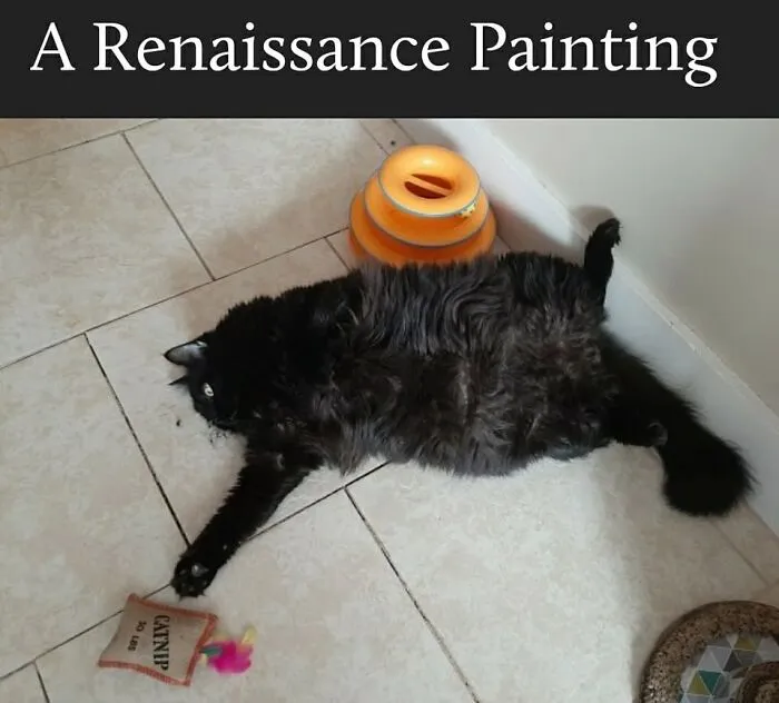 Cat memes featuring a fluffy black cat lying dramatic on the floor like a Renaissance painting