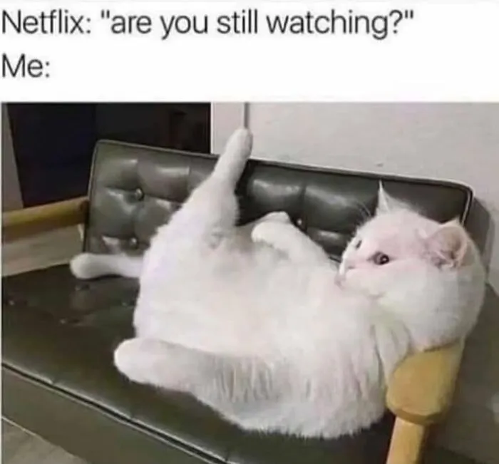 A white cat lying in an awkward position on a couch, illustrating funny memes about binge-watching shows.
