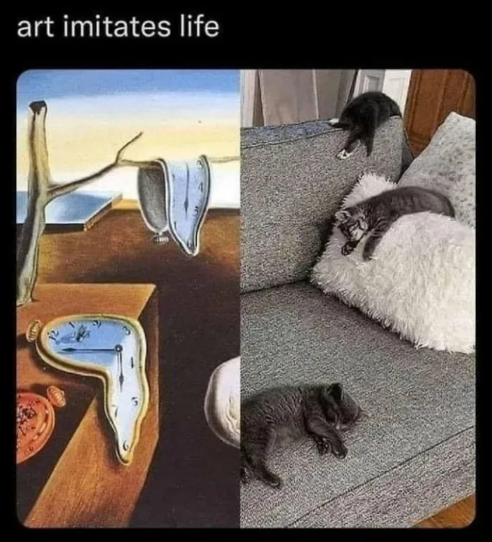 Funny memes showing cats melting on furniture, mirroring the melting clock in a Salvador Dali painting.