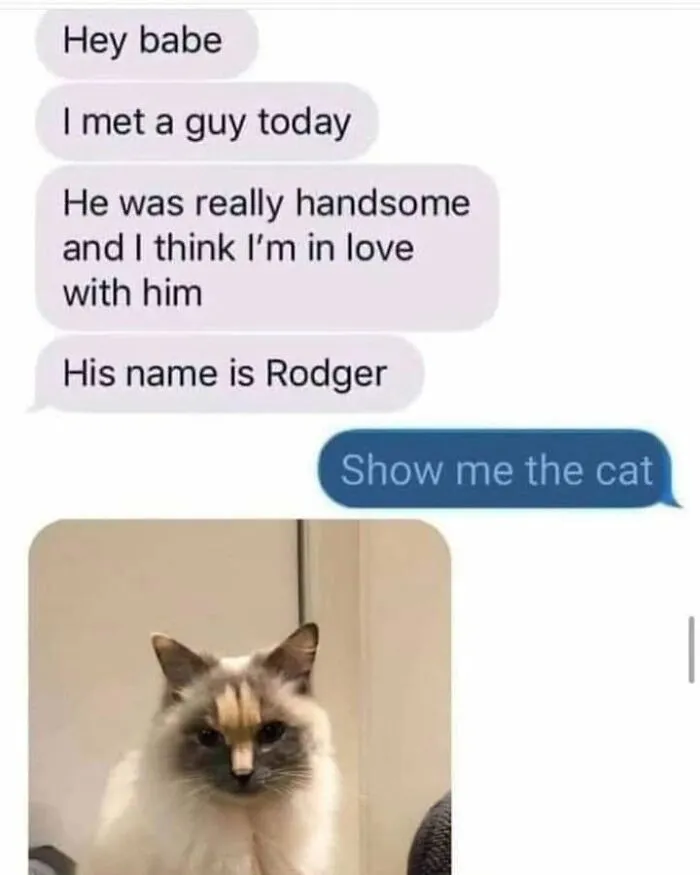 Text messages about meeting someone named Rodger with a reply asking to show the cat in funny memes format.