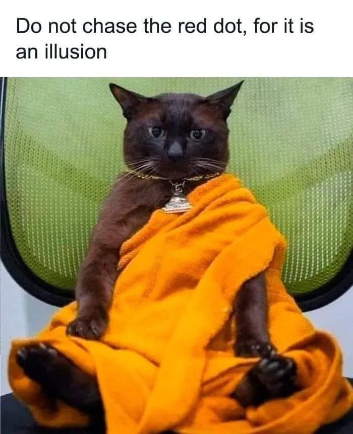 Funny memes showing a dark cat dressed in an orange monk robe sitting calmly.