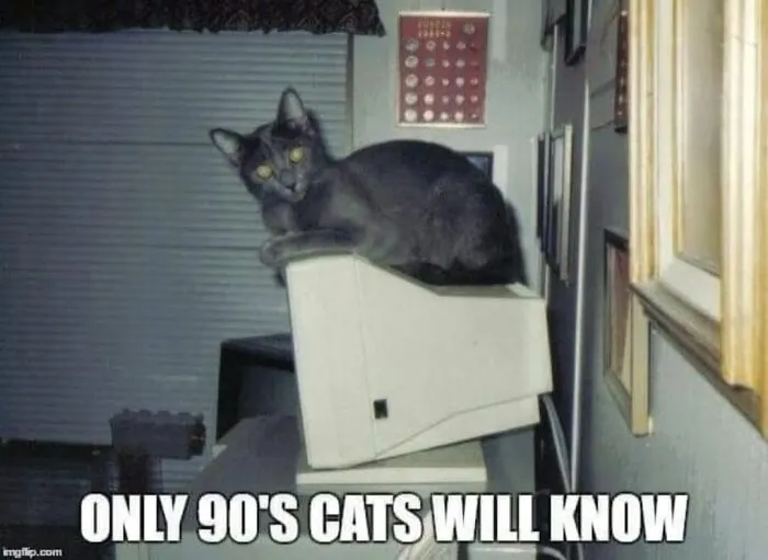 Funny memes featuring a grey cat sitting on top of an old bulky computer monitor.