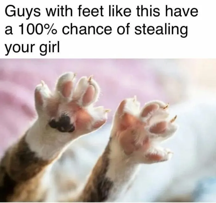 Funny memes showing a close-up of furry cat paws with spread toes and small claws.
