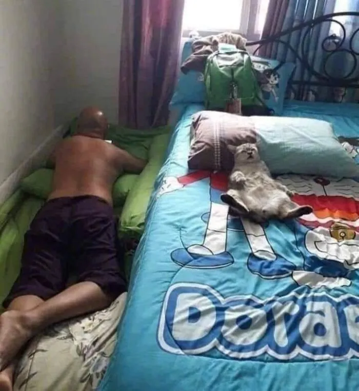 Purr-fectly timed cat pic of a cat sleeping like a human on a big bed while its owner sleeps on the floor beside it.