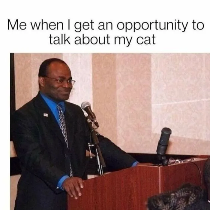Humorous cat meme with a man at a podium eager to speak