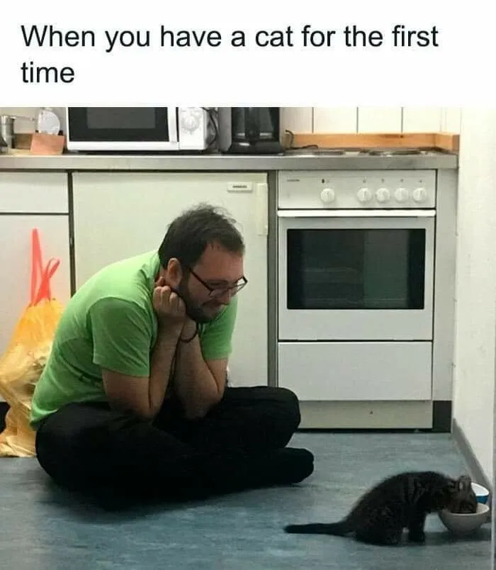 A man sitting on the kitchen floor watching his new kitten eat, featured in cat memes.