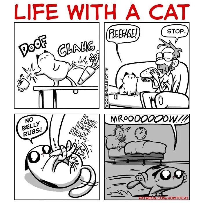 Four-panel comic illustrating relatable cat behaviors like knocking items over and meowing at night, by Lucas Turnbloom.