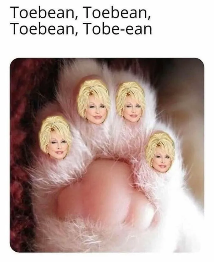 Funny cat memes image of a cat paw with Dolly Parton faces for toe beans