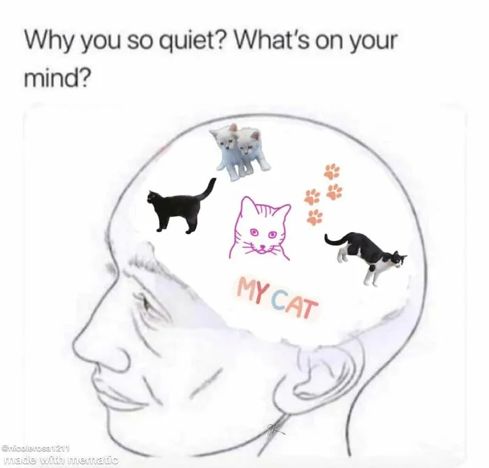 Illustration of a human brain filled with cats in funny memes