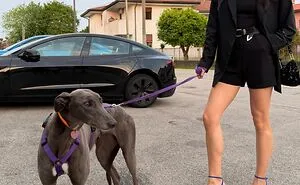 50 Pets That Somehow Look Like They Were Made To Match Their Owners