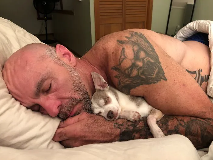 48 Times Pets Looked So Much Like Their Owners, We Had To Look Twice
