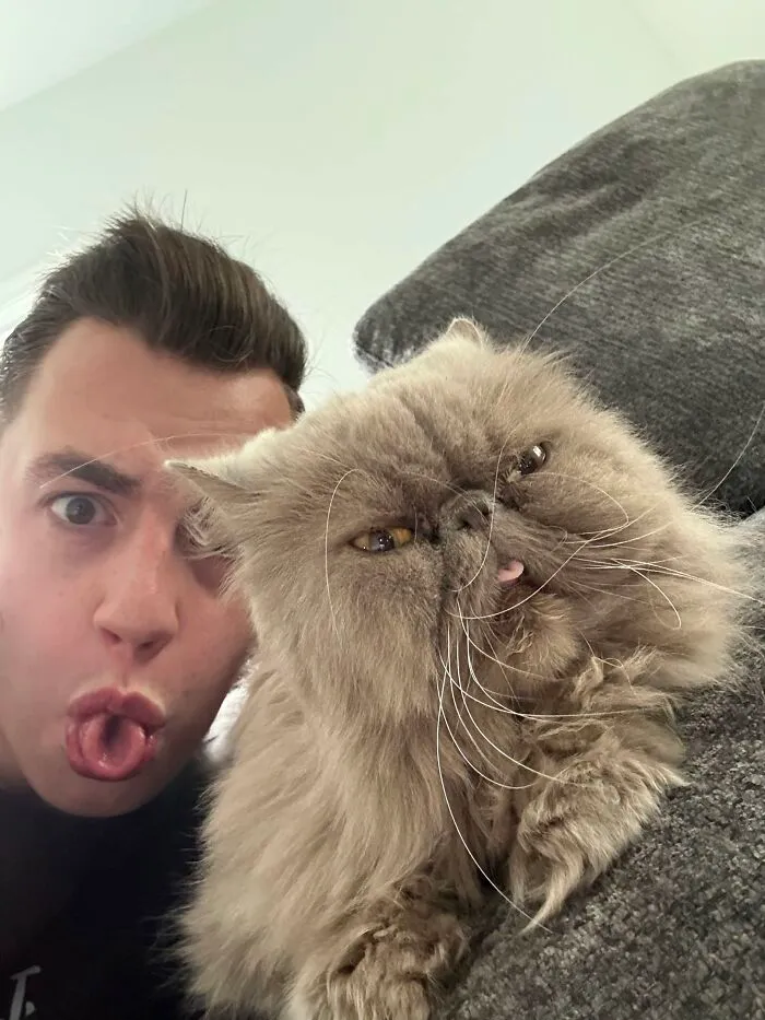 A young man making a funny face with his tongue out next to his fluffy cat showing pets look like their owners.