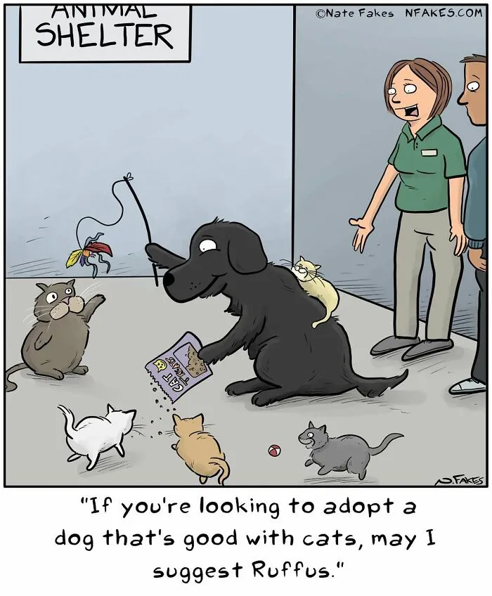Dog recommended for cat-friendly adoption at animal shelter comic