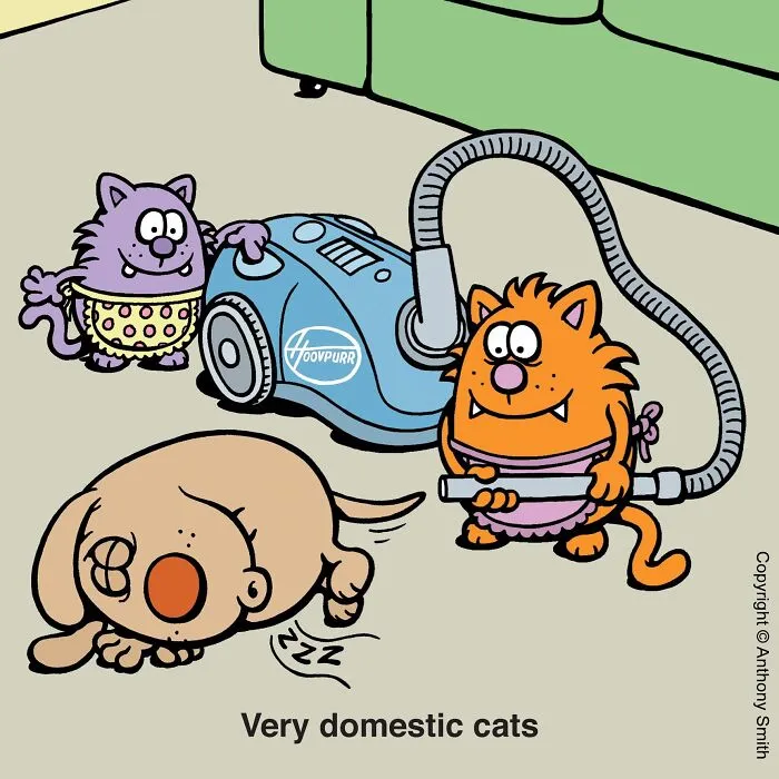 Funny cat comics illustration showing two domestic cats in aprons using a vacuum cleaner near a sleeping dog.