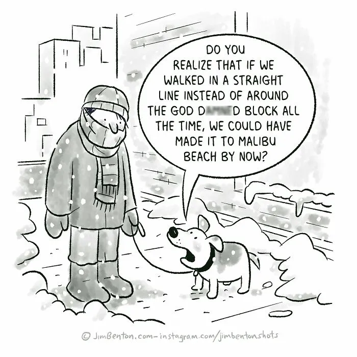 A black and white comedy comic by a cartoonist showing a dog complaining to its owner while walking in the snow.