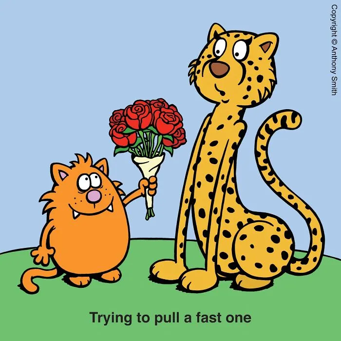 Funny cat comic featuring an orange cat offering a bouquet of red roses to a tall cheetah.