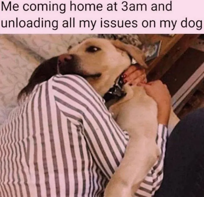A person hugging a golden retriever, showcasing hilarious dog memes for dog lovers.