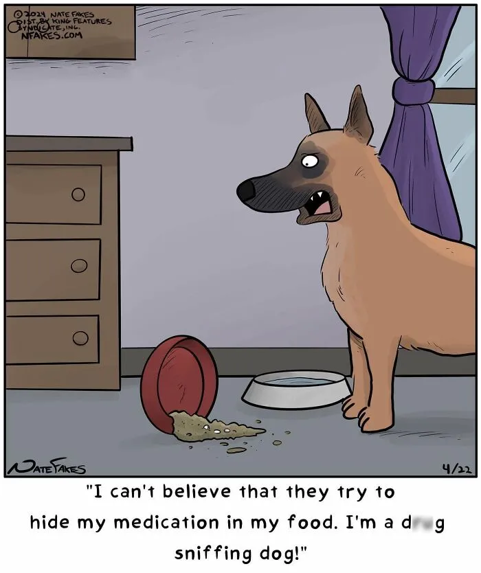 Surprised dog rejects food hiding medication in funny dog sniffing comic by Nate Fakes