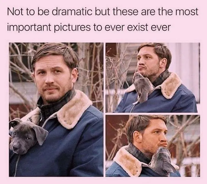 Tom Hardy holding a small puppy inside his jacket in a wholesome dog meme.