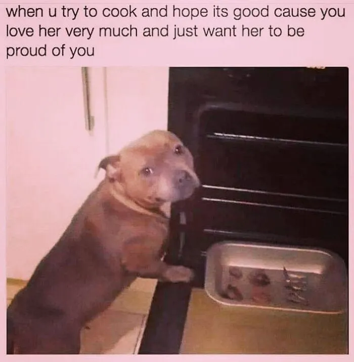 A brown pit bull standing by an open oven, a cute example of hilarious dog memes.
