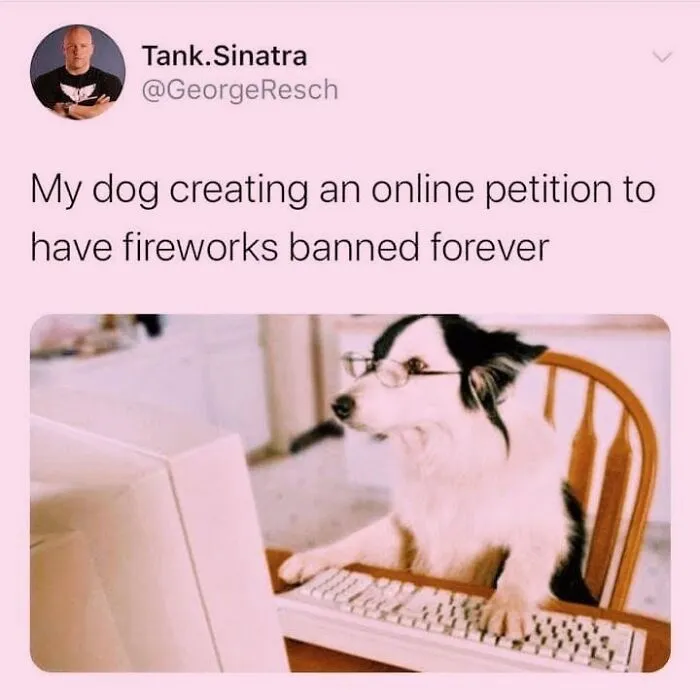 Hilarious dog memes depicting a dog with glasses typing on a computer keyboard.