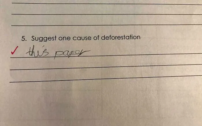 Technically correct meme answer blaming paper for deforestation on test paper