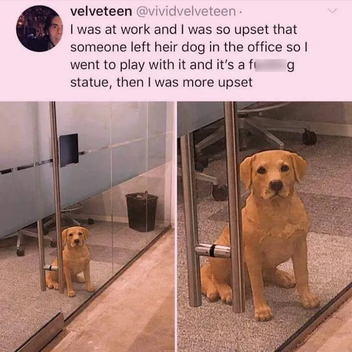 Realistic Labrador statue in an office building shared in hilarious dog memes.