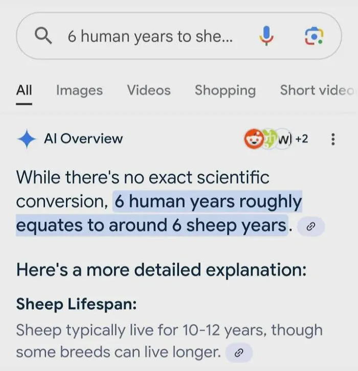 Humorous search result equating 6 human years to 6 sheep years