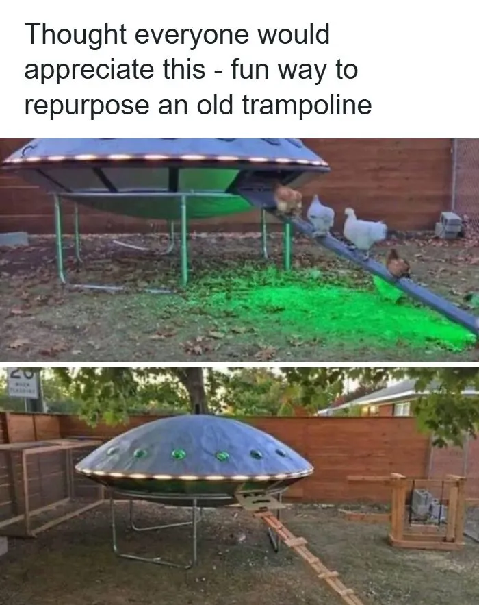 An old trampoline repurposed as a UFO chicken coop, a bizarre craft project.