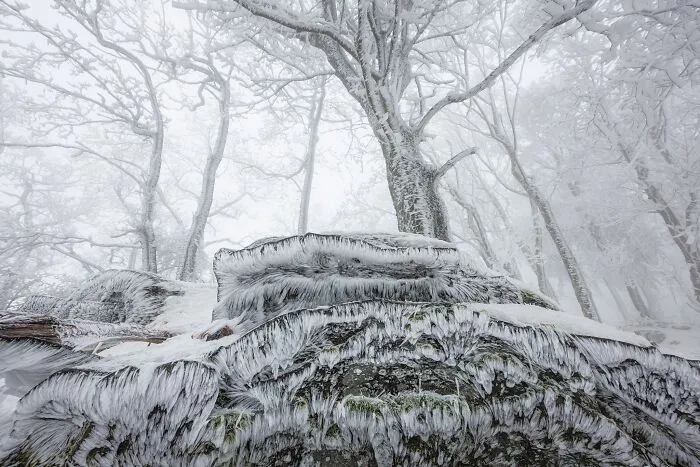 Frozen, icy rock covered in rime ice amidst winter trees for Natural Landscape Photography Awards 2026.