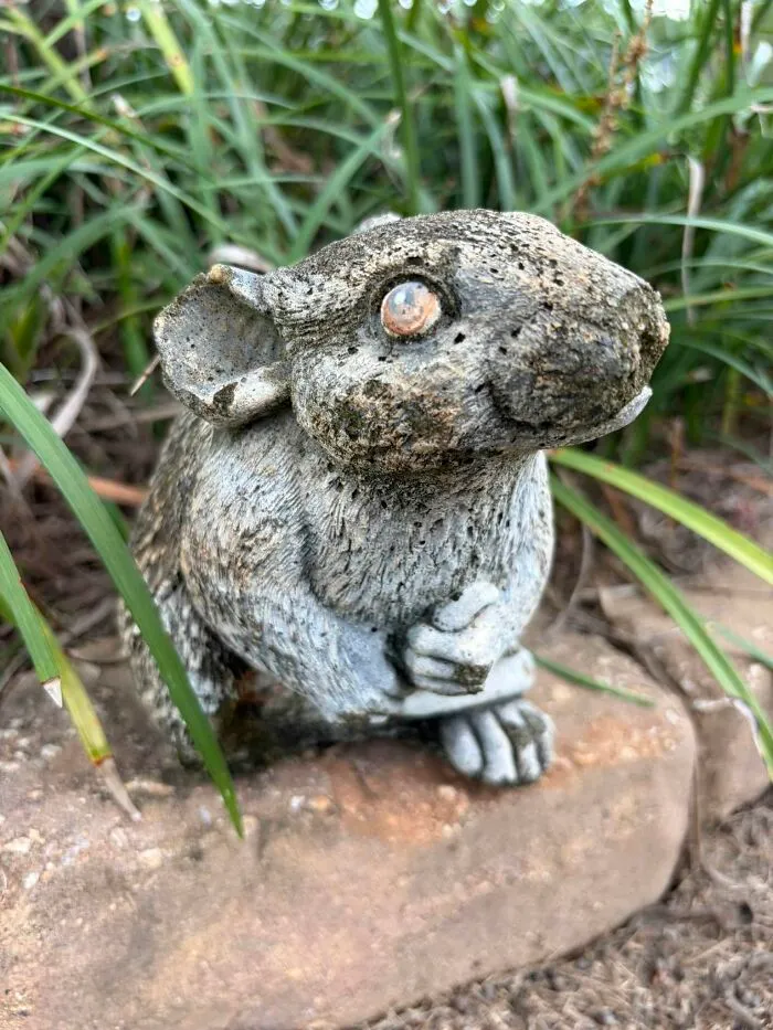Weathered stone rabbit garden statue thrift store find among plants