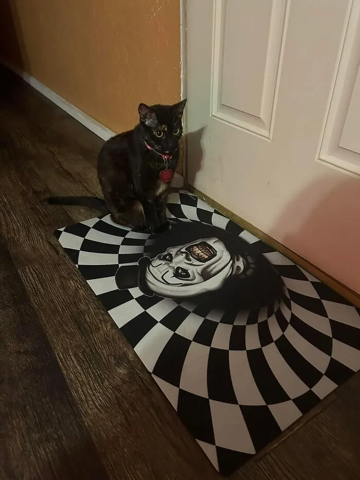 A black cat sitting next to a scary optical illusion mat, showing unexpected Halloween conflicts at home.