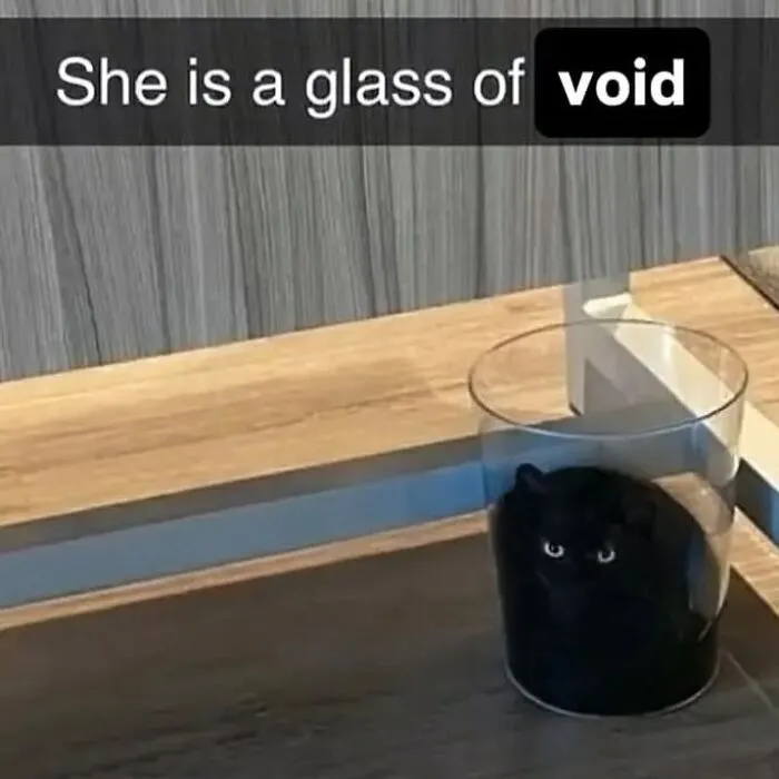 A black cat sitting inside a clear glass cylinder, highlighted in funny cat memes.