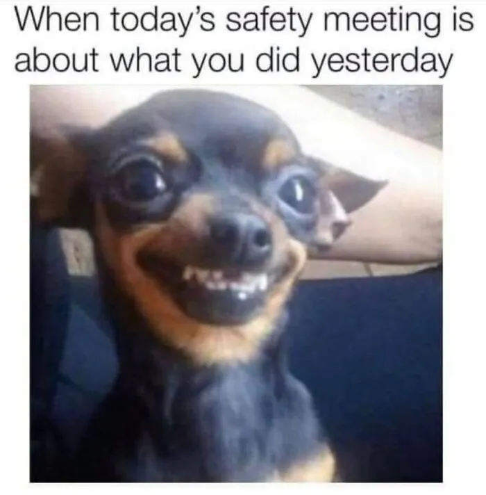 A funny chihuahua making a guilty face in a safety meeting dog meme.
