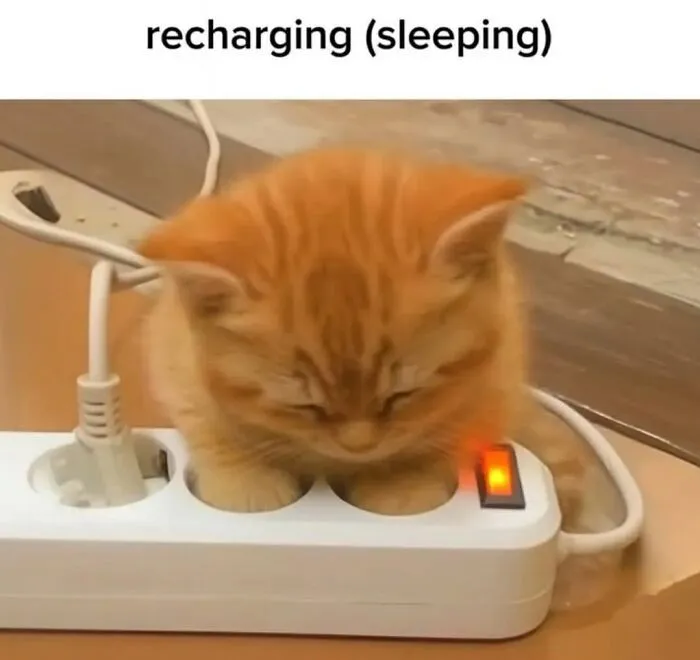 Cute cat memes featuring a tiny ginger kitten sleeping on a power strip as if recharging.