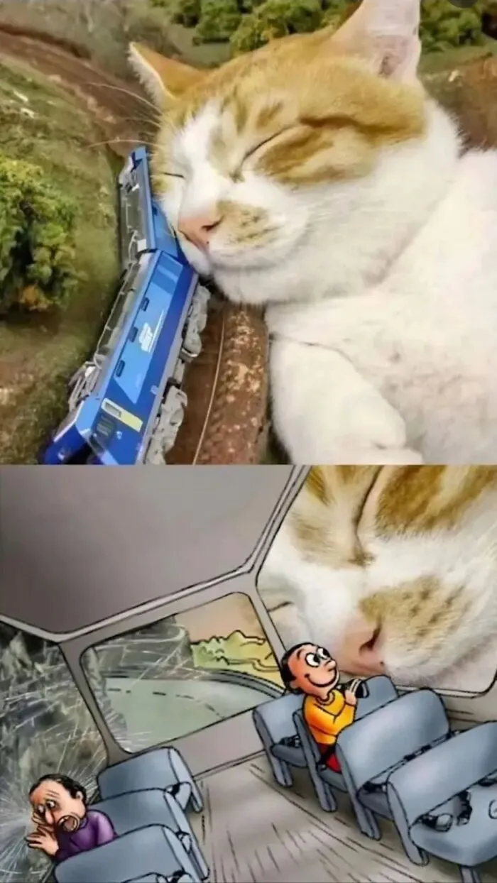 Cat memes featuring a sleeping giant cat leaning against a blue model train track next to a cartoon illustration.